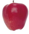 Red Delicious