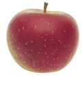 Winesap