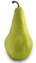 Organic Red Anjou Pears – Beecher Hill Farms